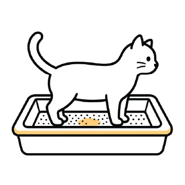 Step 3: Collect Urine